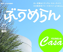 大人の強歩大会